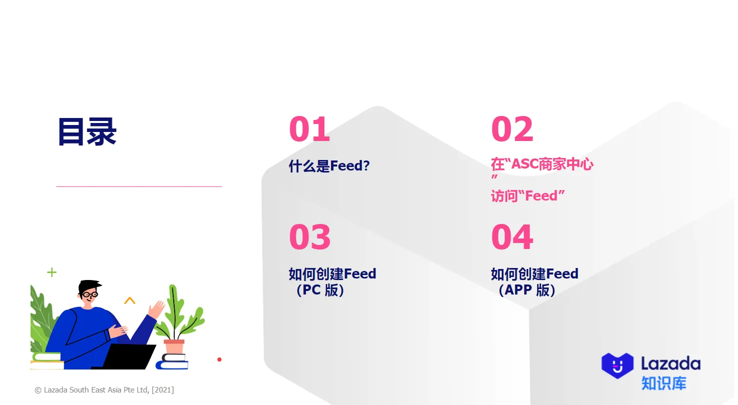 【Lazada知识大纲更新】如何设置Feed
