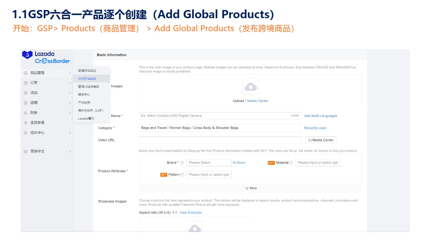 【Lazada知识大纲更新】创建新产品