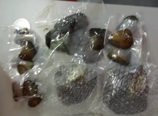 【Shopee知识大纲更新】SLS违禁品及禁运品类