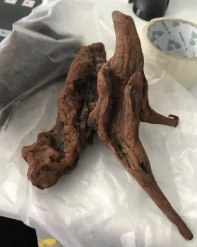 【Shopee知识大纲更新】SLS违禁品及禁运品类