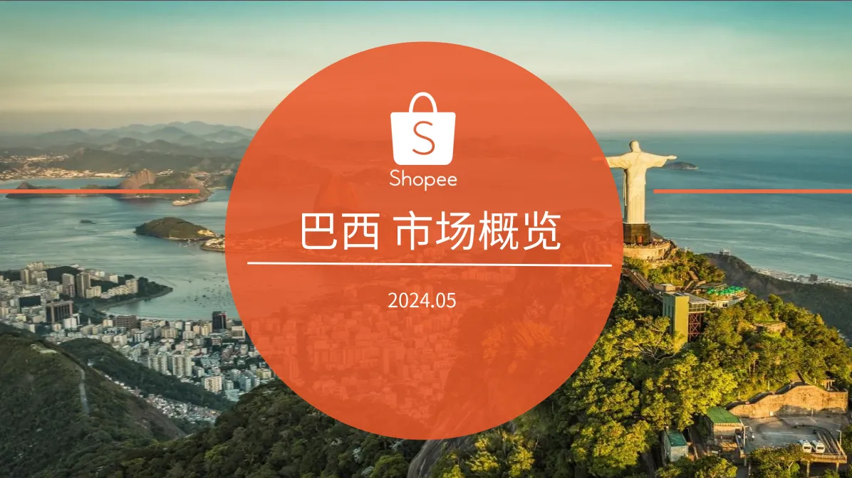 巴西市场概览